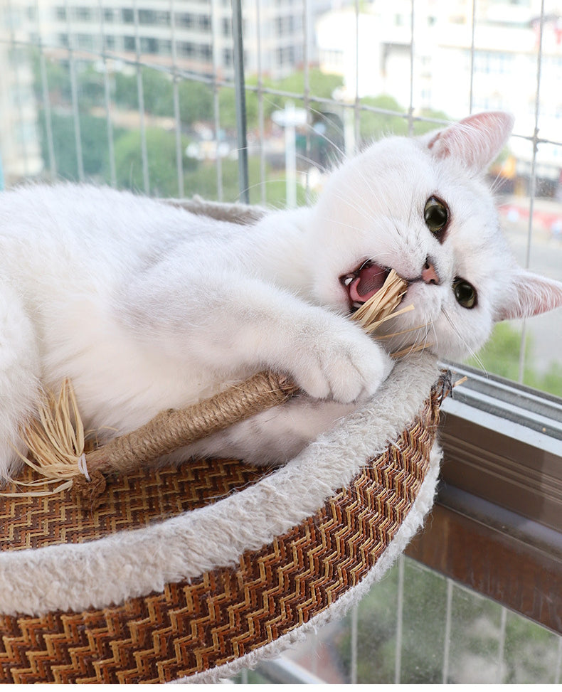 Natural Silvervine Stick Cat Chew Toy