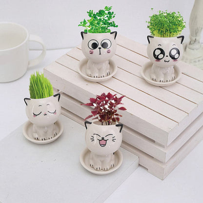 Mini Cartoon Cat Ceramic Pot