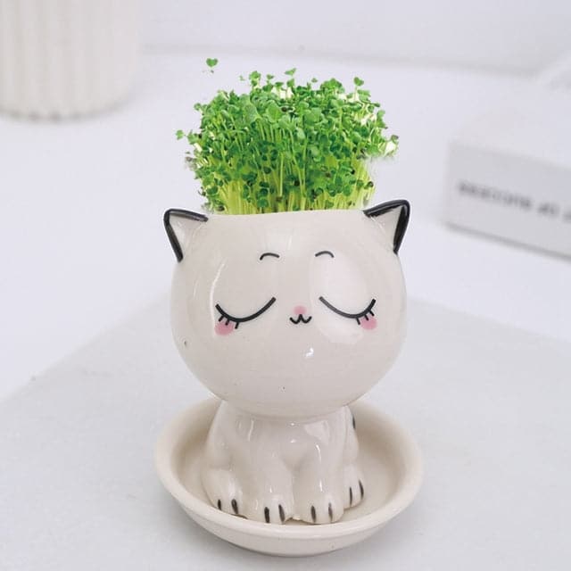 Mini Cartoon Cat Ceramic Pot