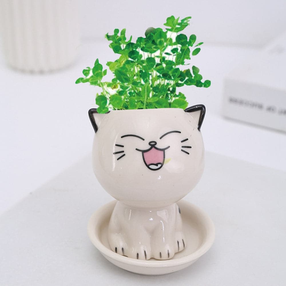 Mini Cartoon Cat Ceramic Pot