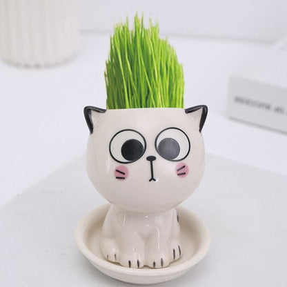 Mini Cartoon Cat Ceramic Pot